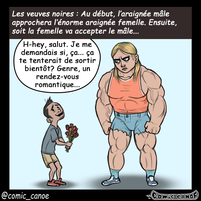 Cet artiste nous montre ce qui arriverait si les humains draguaient comme les animaux et c’est hilarant
