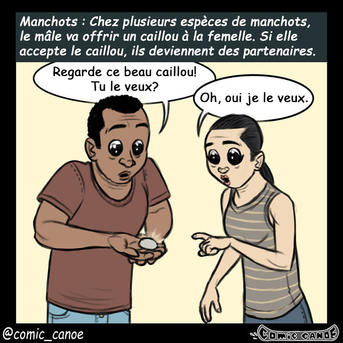 Cet artiste nous montre ce qui arriverait si les humains draguaient comme les animaux et c’est hilarant