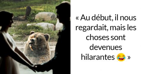 Les internautes sont morts de rire après avoir vu la réaction de cet ours à ce couple qui se mariait au zoo