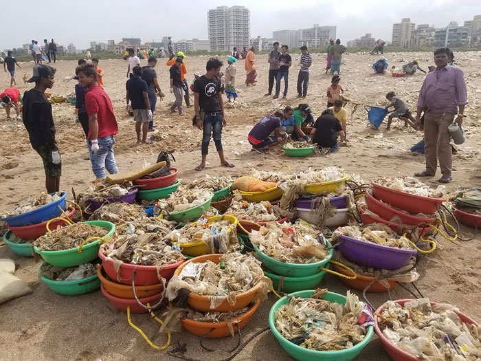 Des tortues sont retournées sur cette plage indienne pour la première fois en 20 ans après le plus grand nettoyage au monde