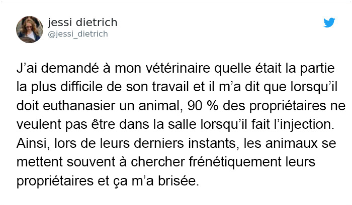 Des vétérinaires ont révélé ce que font les animaux juste avant de mourir et c&#8217;est une lecture incontournable pour tous les propriétaires d&#8217;animaux