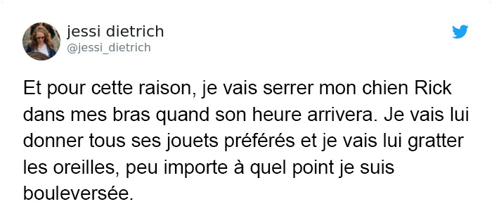 Des vétérinaires ont révélé ce que font les animaux juste avant de mourir et c&#8217;est une lecture incontournable pour tous les propriétaires d&#8217;animaux