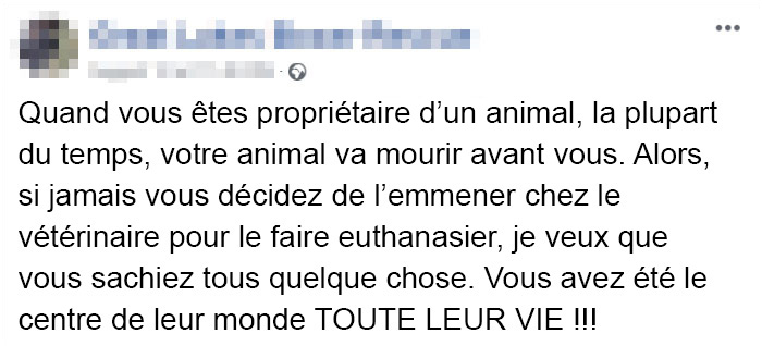 Des vétérinaires ont révélé ce que font les animaux juste avant de mourir et c&#8217;est une lecture incontournable pour tous les propriétaires d&#8217;animaux