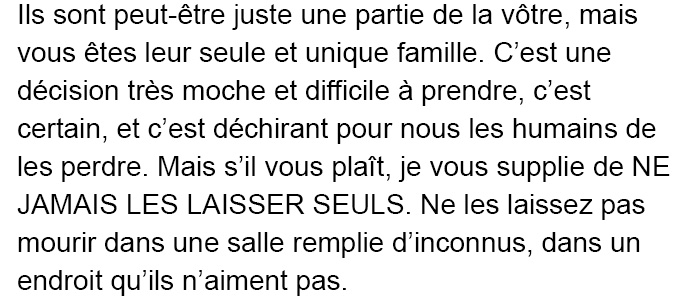 Des vétérinaires ont révélé ce que font les animaux juste avant de mourir et c&#8217;est une lecture incontournable pour tous les propriétaires d&#8217;animaux