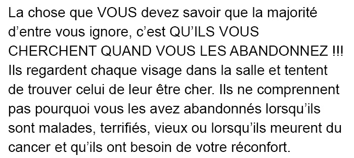 Des vétérinaires ont révélé ce que font les animaux juste avant de mourir et c&#8217;est une lecture incontournable pour tous les propriétaires d&#8217;animaux