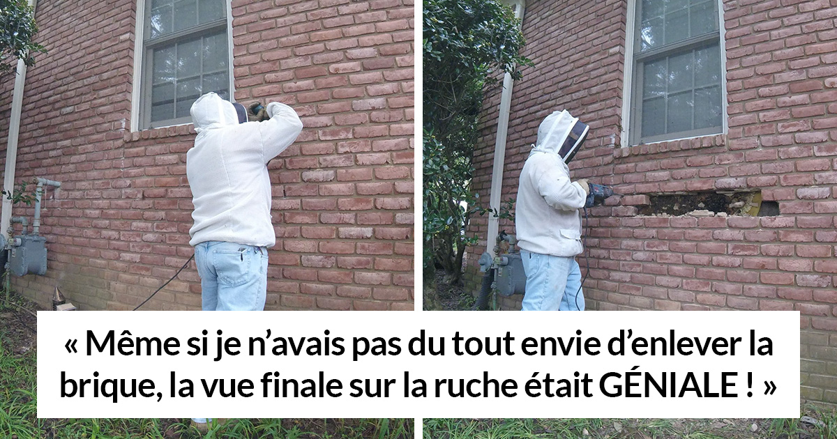 Cet apiculteur a montré ce qu’il a trouvé après avoir enlevé des briques de la maison d’un client et ses photos sont devenues virales