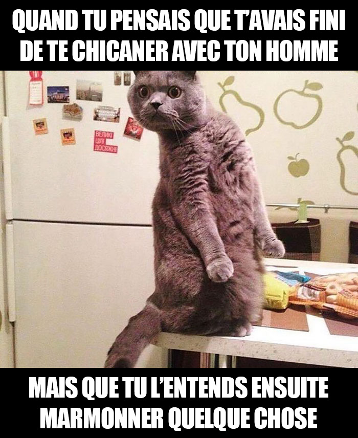 20 blagues hilarantes sur le mariage qui résument parfaitement la vie des personnes mariées