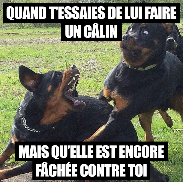 20 blagues hilarantes sur le mariage qui résument parfaitement la vie des personnes mariées