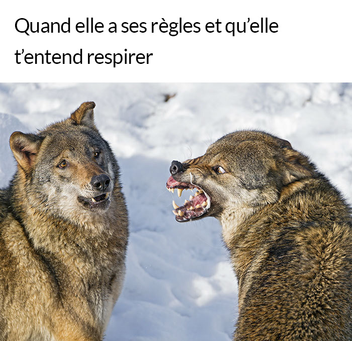 19 blagues sur les règles qui vont te faire rire malgré la douleur