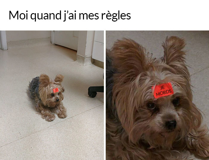 19 blagues sur les règles qui vont te faire rire malgré la douleur