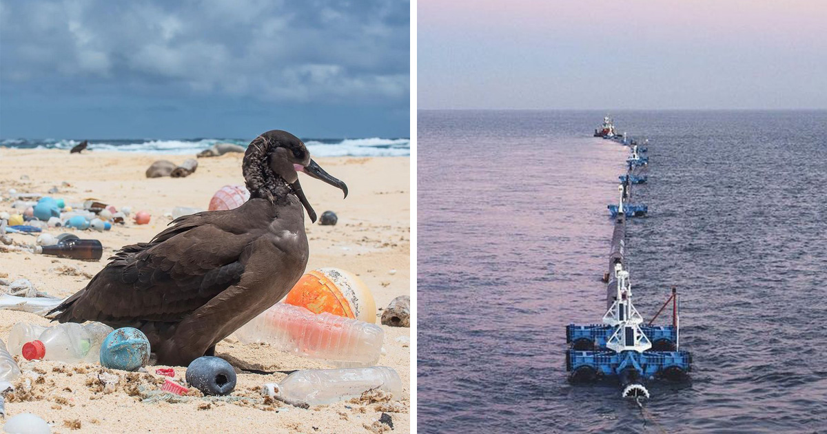 Un flotteur géant nommé Wilson s’apprête à nettoyer le vortex de