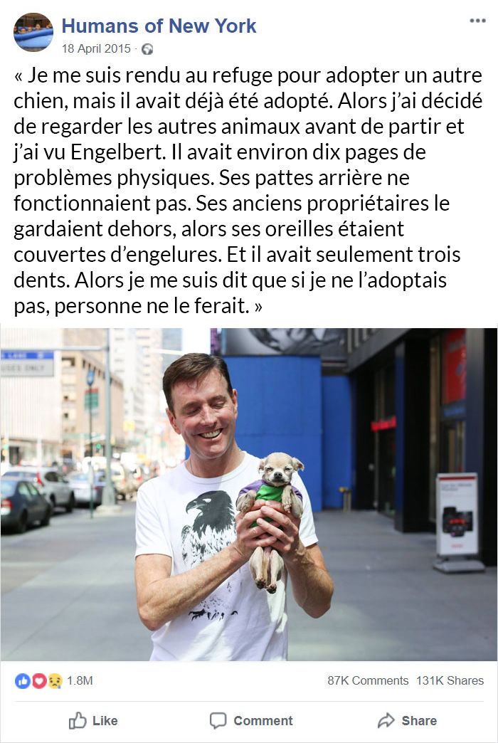 Si vous pensez que le monde est un endroit terrible, ces 23 photos sympas vont vous faire changer d’avis (nouvelles images)