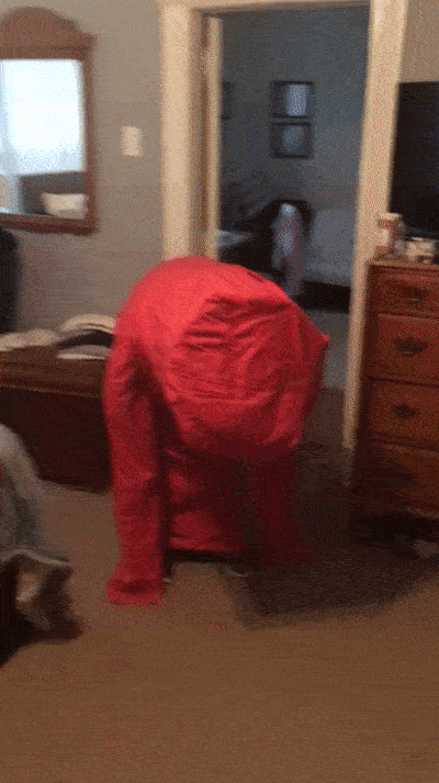 33 meilleures idées de costumes d’Halloween qu’on a jamais vues