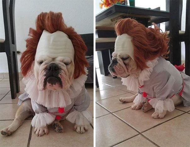 33 personnes qui ont surpris tout le monde à l’Halloween avec leurs costumes