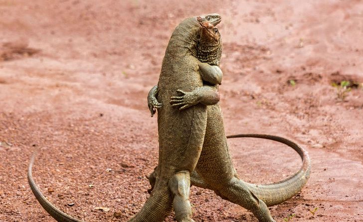 22 photographes qui ont été si chanceux que leurs clichés en disent plus long que les paroles ! By Ipnoze.com Nature-monde-voyage-007