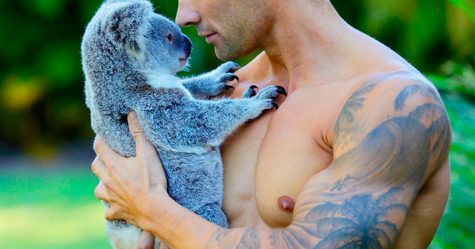 Des pompiers australiens posent avec des animaux pour le calendrier de charité 2019 et les photos sont si chaudes qu’elles pourraient mettre le feu
