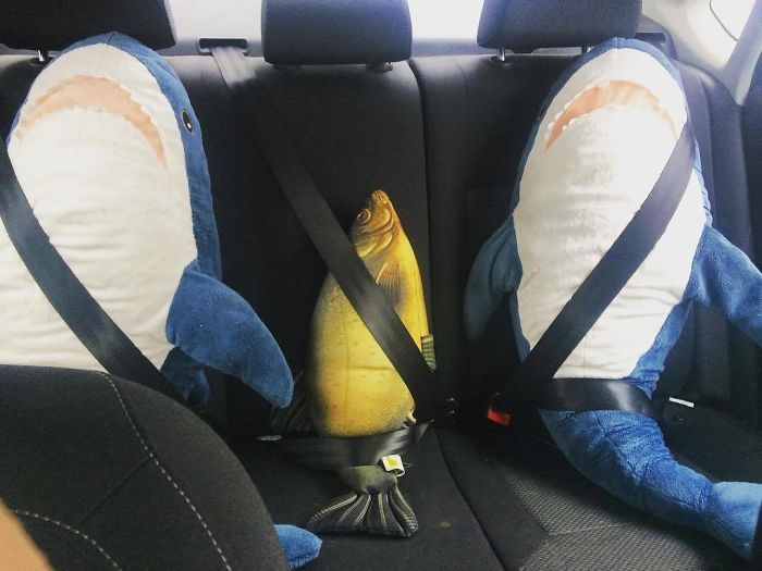 IKEA a lancé un adorable requin en peluche et les gens en sont complètement fous
