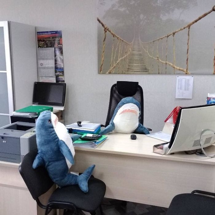 IKEA a lancé un adorable requin en peluche et les gens en sont complètement fous