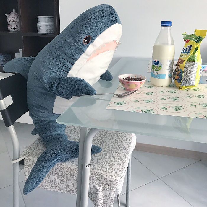 IKEA a lancé un adorable requin en peluche et les gens en sont complètement fous
