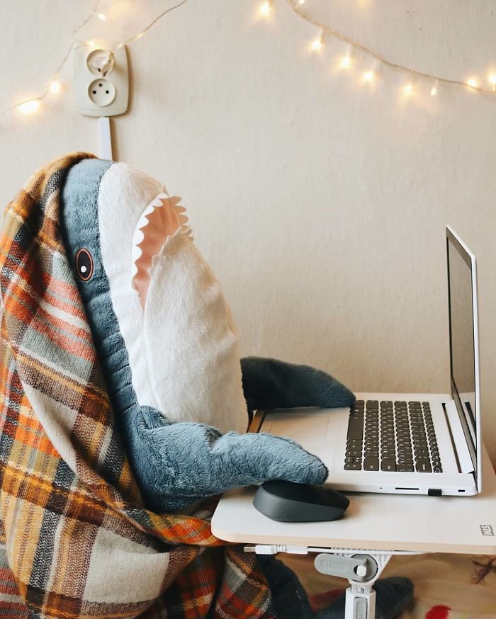 IKEA a lancé un adorable requin en peluche et les gens en sont complètement fous