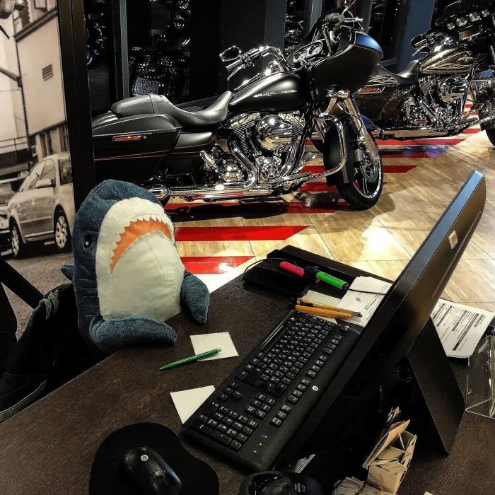 IKEA a lancé un adorable requin en peluche et les gens en sont complètement fous
