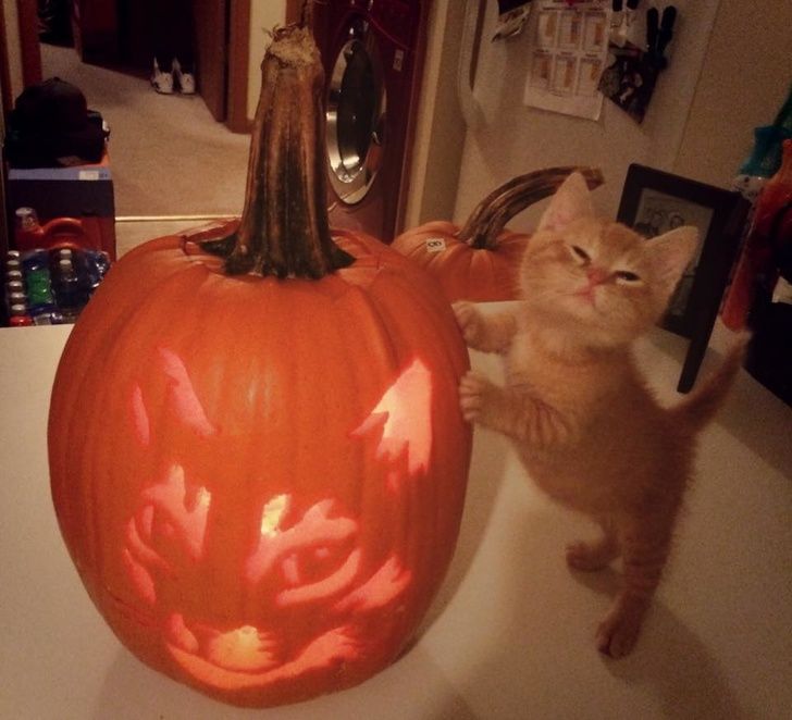 19 meilleures sculptures de citrouilles qu’on a jamais vues