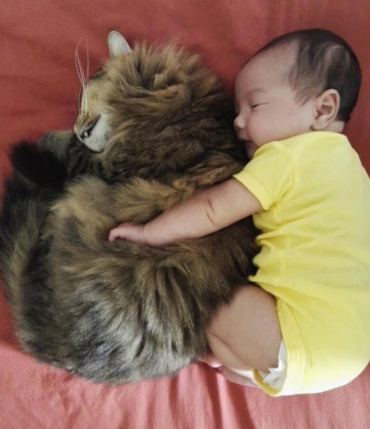 25 photos qui peuvent faire fondre même un coeur de glace