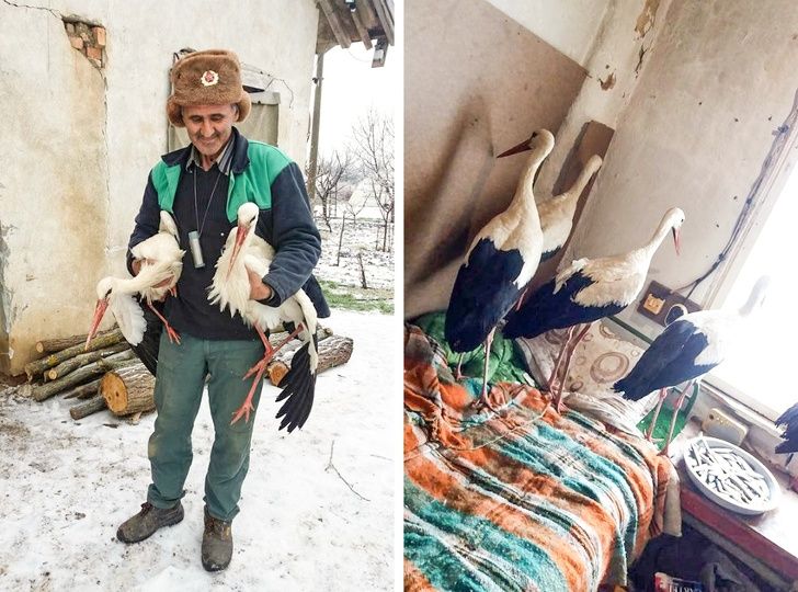 25 photos qui peuvent faire fondre même un coeur de glace