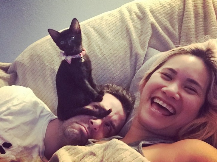 25 photos qui prouvent que les propriétaires d’animaux méritent une médaille pour leur patience