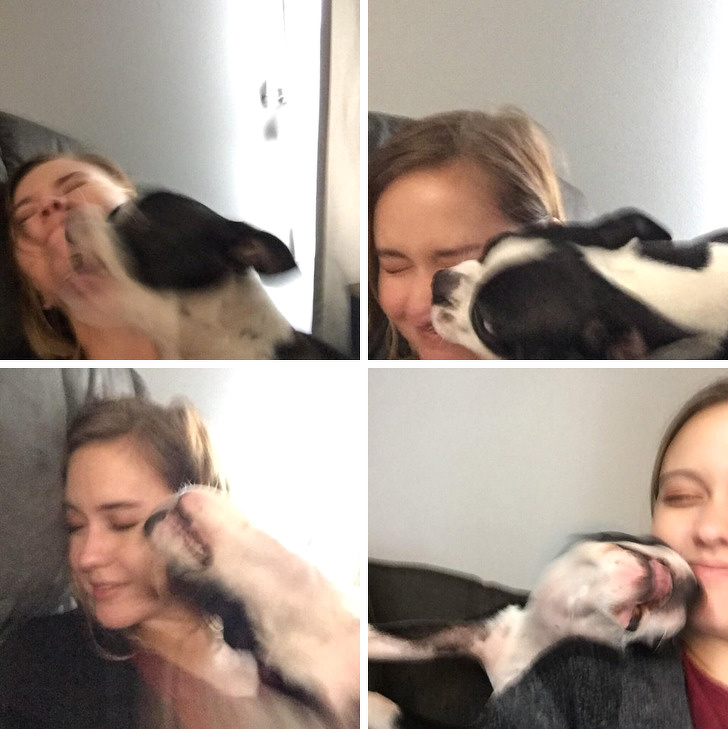 25 photos qui prouvent que les propriétaires d’animaux méritent une médaille pour leur patience