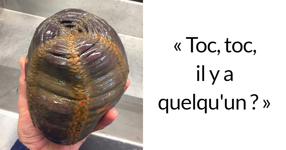 Ce pêcheur russe présente les créatures terrifiantes qu’il trouve en eau profonde et les gens veulent qu’il arrête (nouvelles photos)