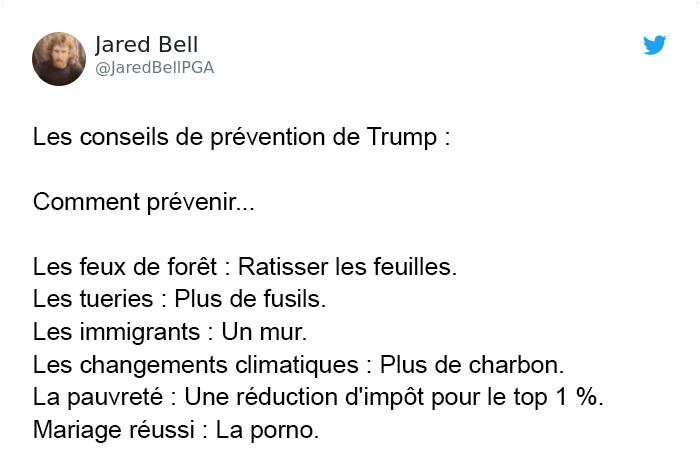 Trump affirme que la Finlande « ratisse » ses forêts pour prévenir les incendies et voici les 14 meilleures réponses