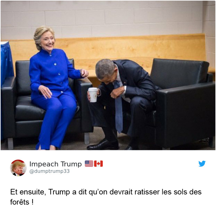 Trump affirme que la Finlande « ratisse » ses forêts pour prévenir les incendies et voici les 14 meilleures réponses