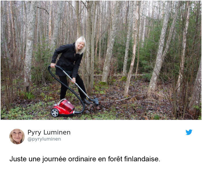 Trump affirme que la Finlande « ratisse » ses forêts pour prévenir les incendies et voici les 14 meilleures réponses