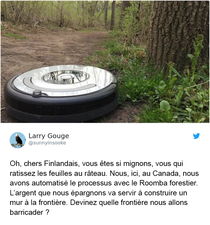 Trump affirme que la Finlande « ratisse » ses forêts pour prévenir les incendies et voici les 14 meilleures réponses