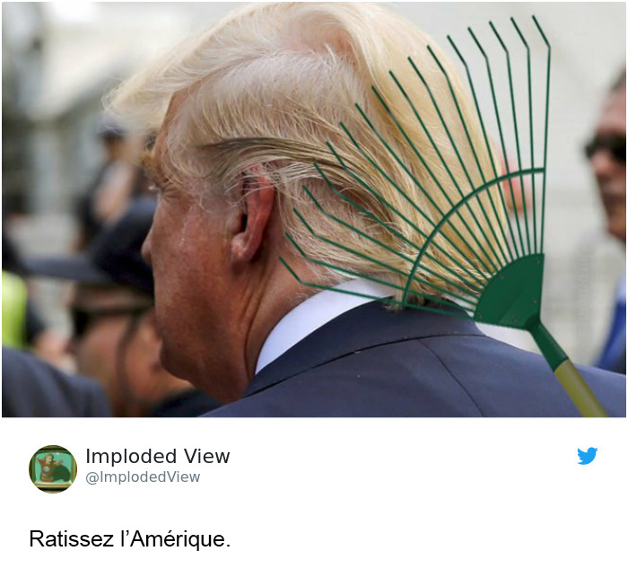 Trump affirme que la Finlande « ratisse » ses forêts pour prévenir les incendies et voici les 14 meilleures réponses
