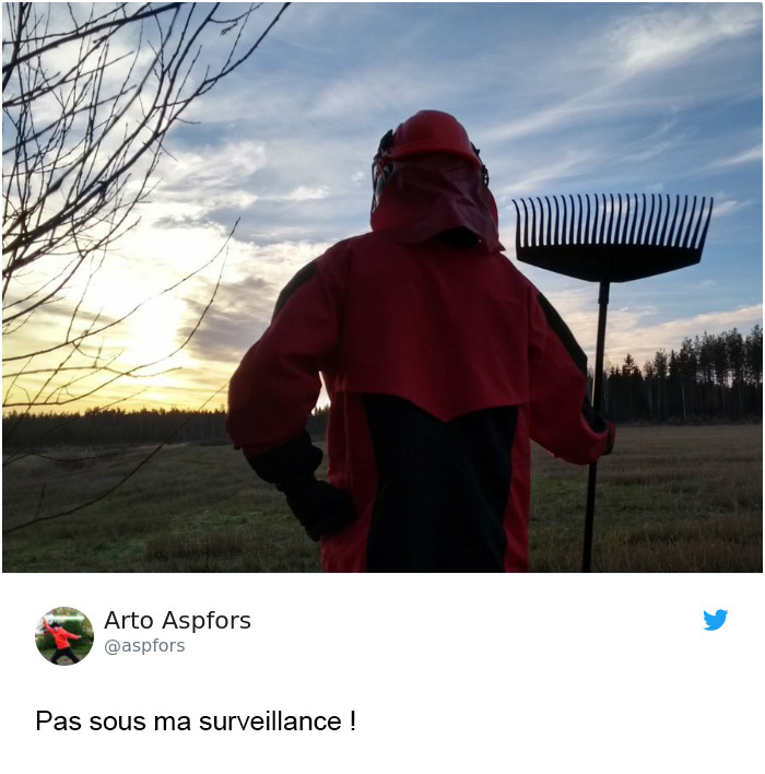 Trump affirme que la Finlande « ratisse » ses forêts pour prévenir les incendies et voici les 14 meilleures réponses