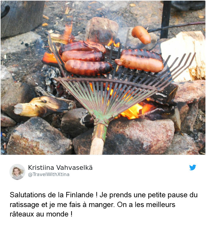 Trump affirme que la Finlande « ratisse » ses forêts pour prévenir les incendies et voici les 14 meilleures réponses