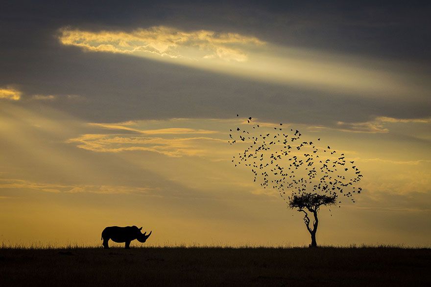 22 photos époustouflantes qui ont remporté le prestigieux Siena International Photo Awards