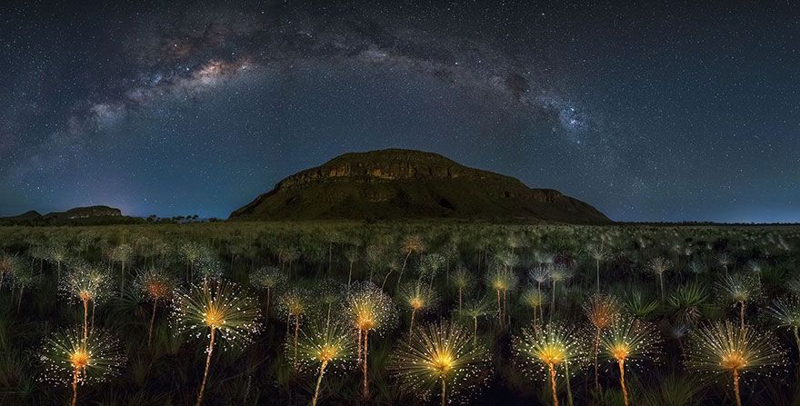 22 photos époustouflantes qui ont remporté le prestigieux Siena International Photo Awards