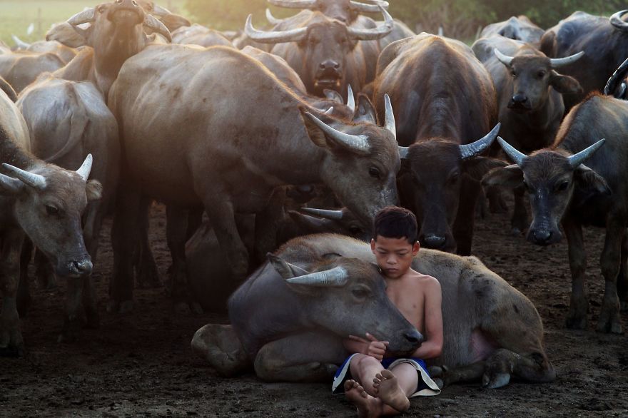 22 photos époustouflantes qui ont remporté le prestigieux Siena International Photo Awards