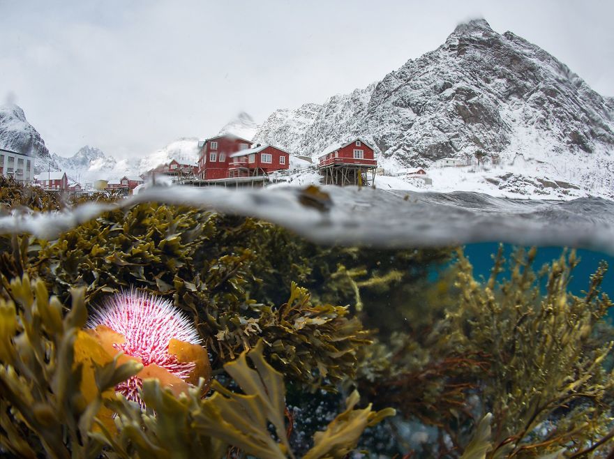 22 photos époustouflantes qui ont remporté le prestigieux Siena International Photo Awards