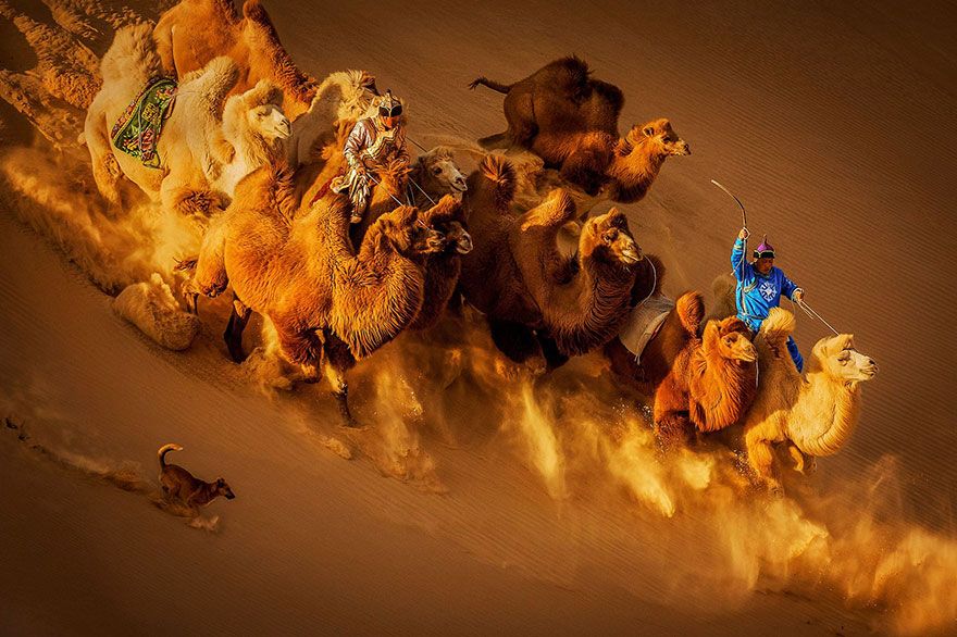 22 photos époustouflantes qui ont remporté le prestigieux Siena International Photo Awards