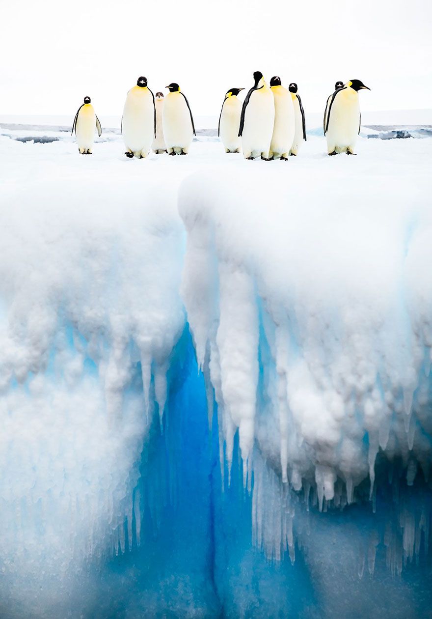 22 photos époustouflantes qui ont remporté le prestigieux Siena International Photo Awards