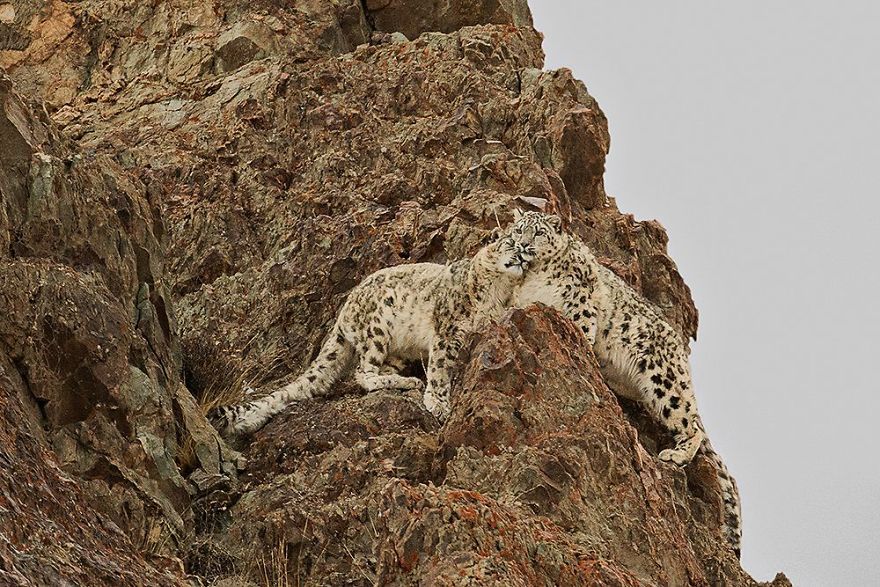 22 photos époustouflantes qui ont remporté le prestigieux Siena International Photo Awards