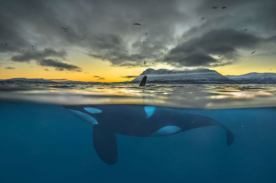 22 photos époustouflantes qui ont remporté le prestigieux Siena International Photo Awards