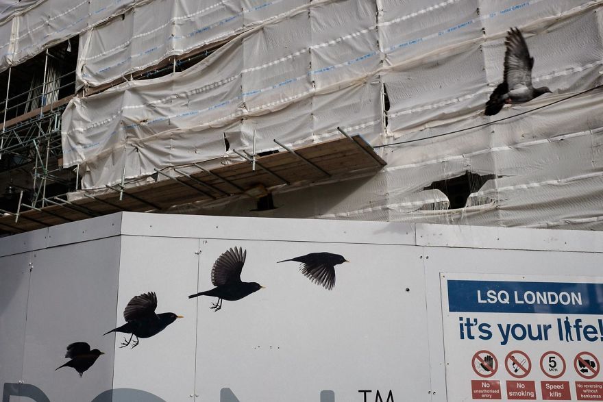 30 photos incroyablement chanceuses par l’un des meilleurs photographes de rue du monde