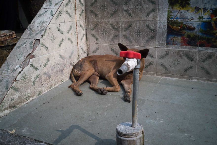 30 photos incroyablement chanceuses par l’un des meilleurs photographes de rue du monde
