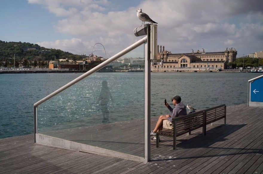 30 photos incroyablement chanceuses par l’un des meilleurs photographes de rue du monde