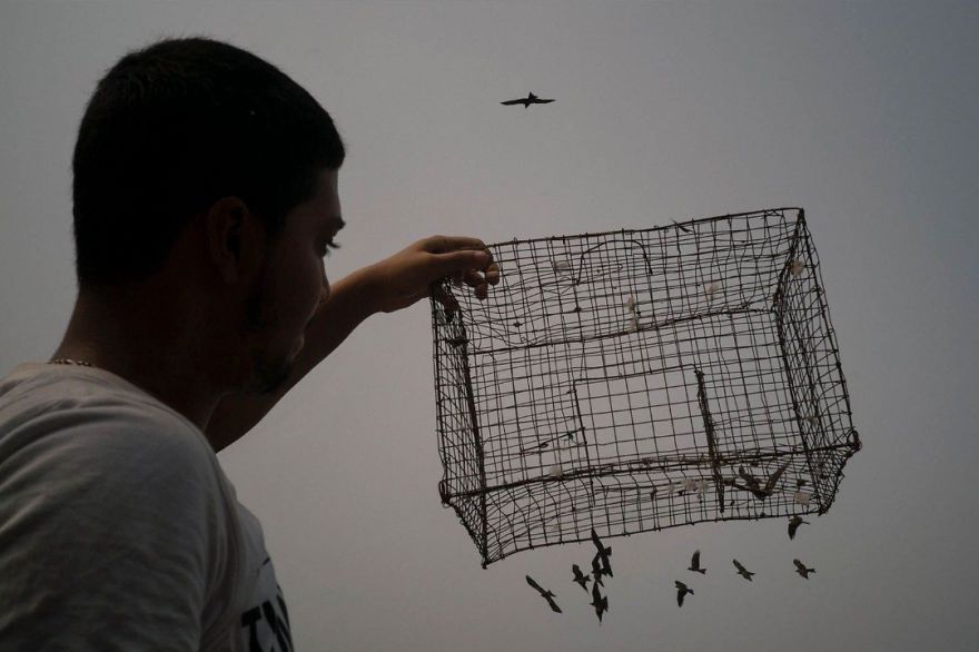 30 photos incroyablement chanceuses par l’un des meilleurs photographes de rue du monde